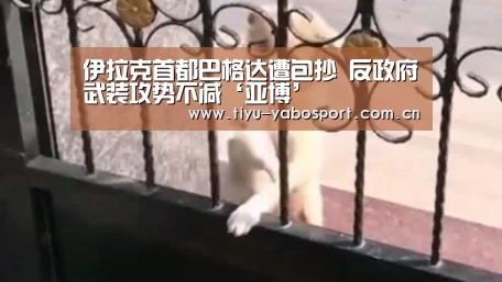 伊拉克首都巴格达遭包抄 反政府武装攻势不减‘亚博’(图3) 亚博官网