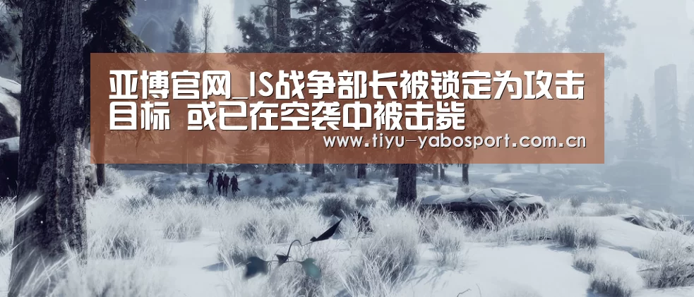亚博官网_IS战争部长被锁定为攻击目标 或已在空袭中被击毙(图1) 亚博体育