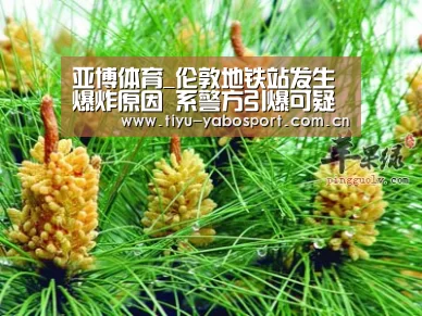 亚博体育_伦敦地铁站发生爆炸原因 系警方引爆可疑车辆(视频)(图1) 亚博