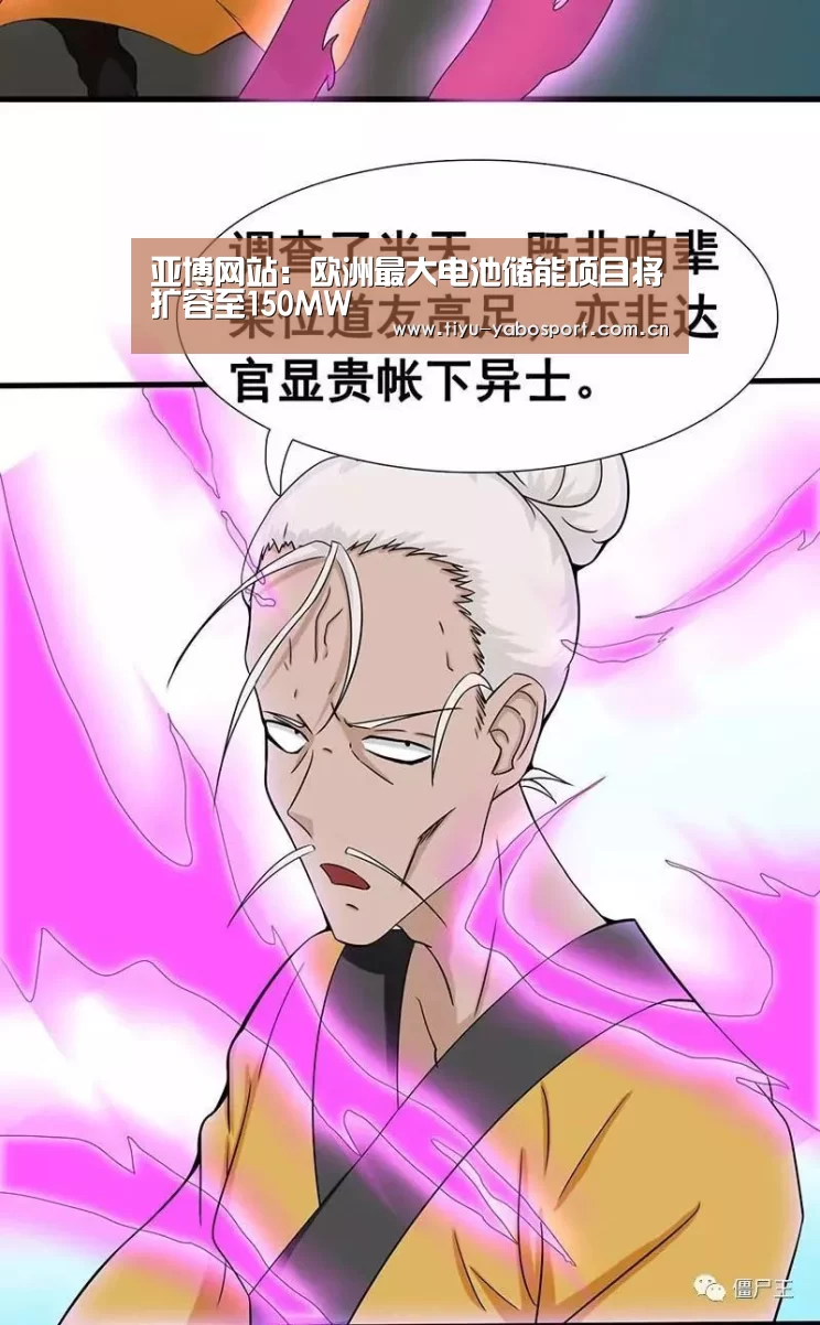 亚博网站:欧洲最大电池储能项目将扩容至150MW(图4) 亚博网站