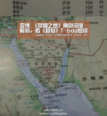 亚博_《禁锢之地》角色深度解析,看《越狱》T-bag如何突破反派类型(图2) 亚博官网