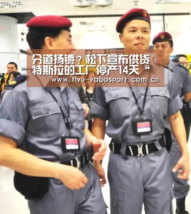 分道扬镳?松下宣布供货特斯拉的工厂停产14天“亚博”(图3) 亚博体育