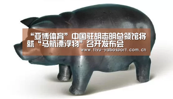 “亚博体育”中国驻胡志明总领馆将就“马航漂浮物”召开发布会(图1) 亚博官网